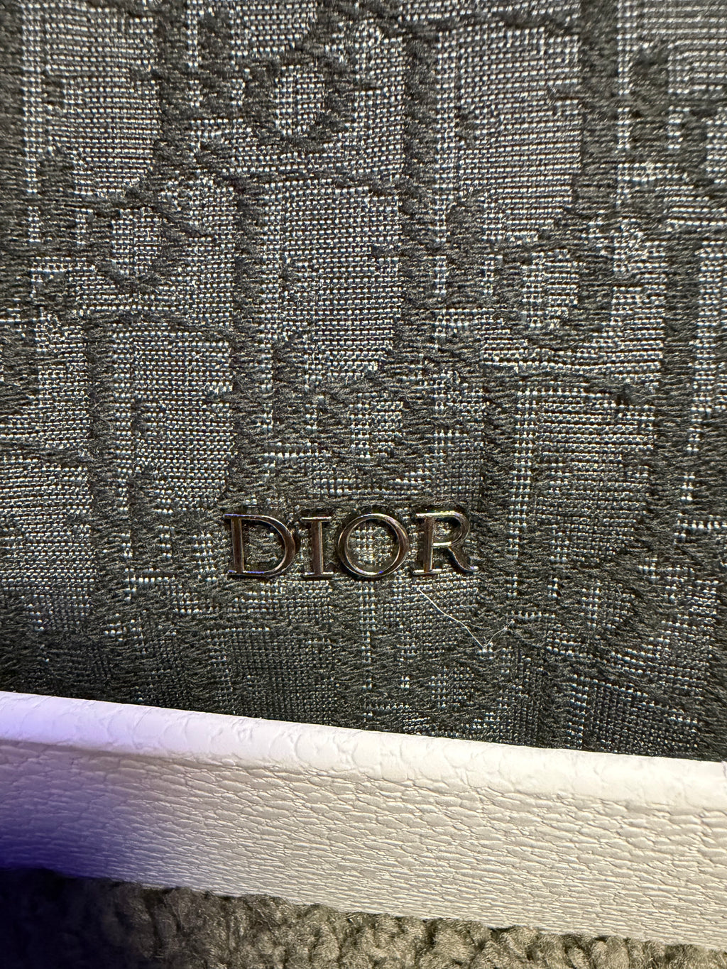 Slingbag Dior Rider