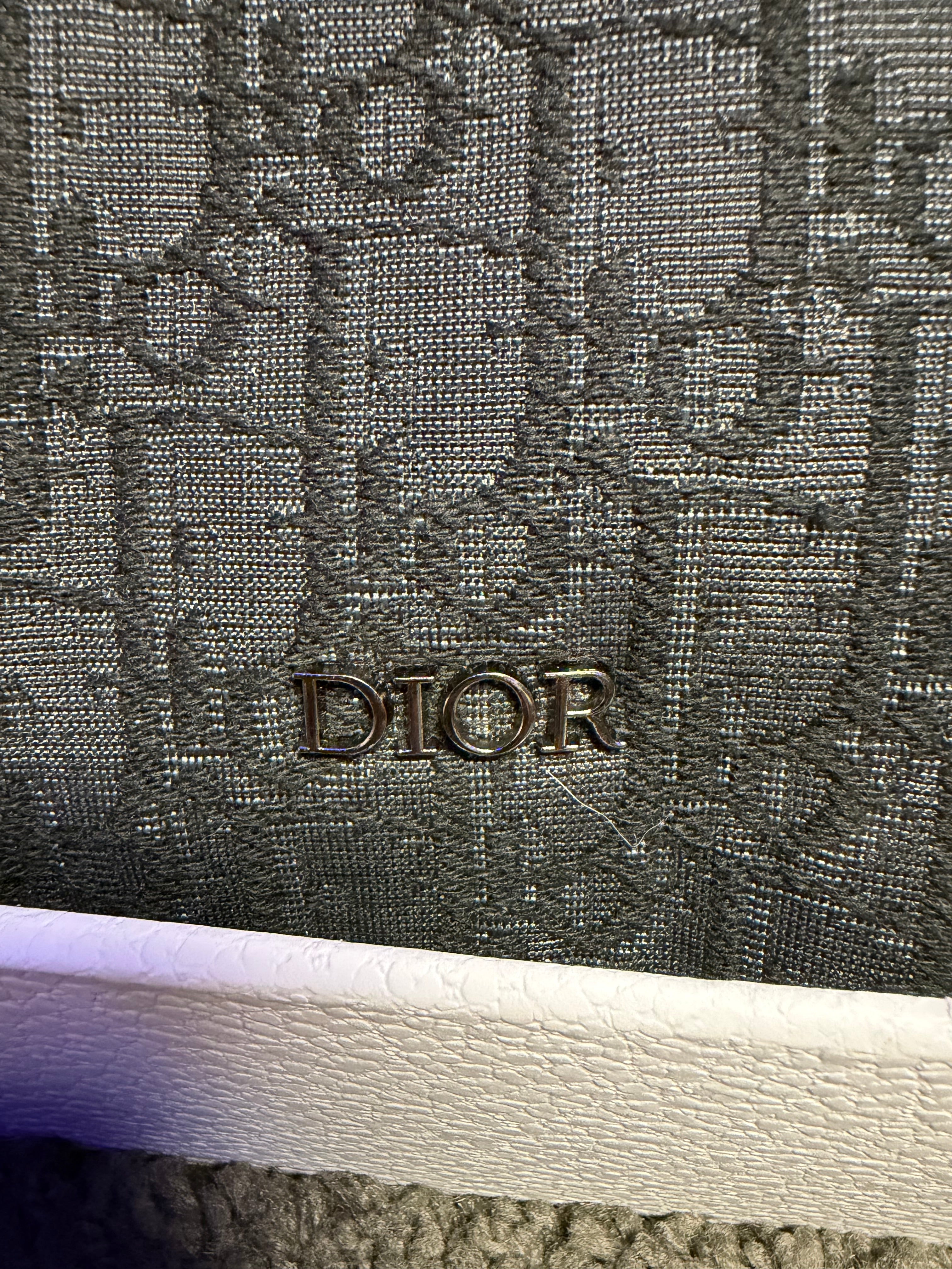 Slingbag Dior Rider