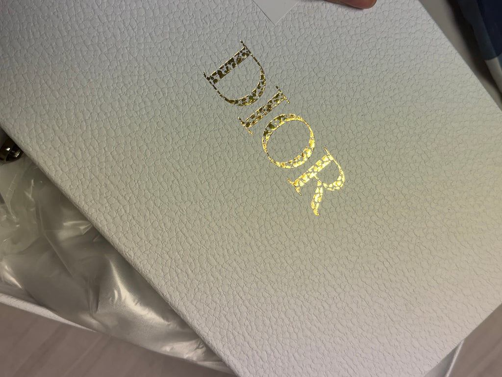 Slingbag Dior Rider