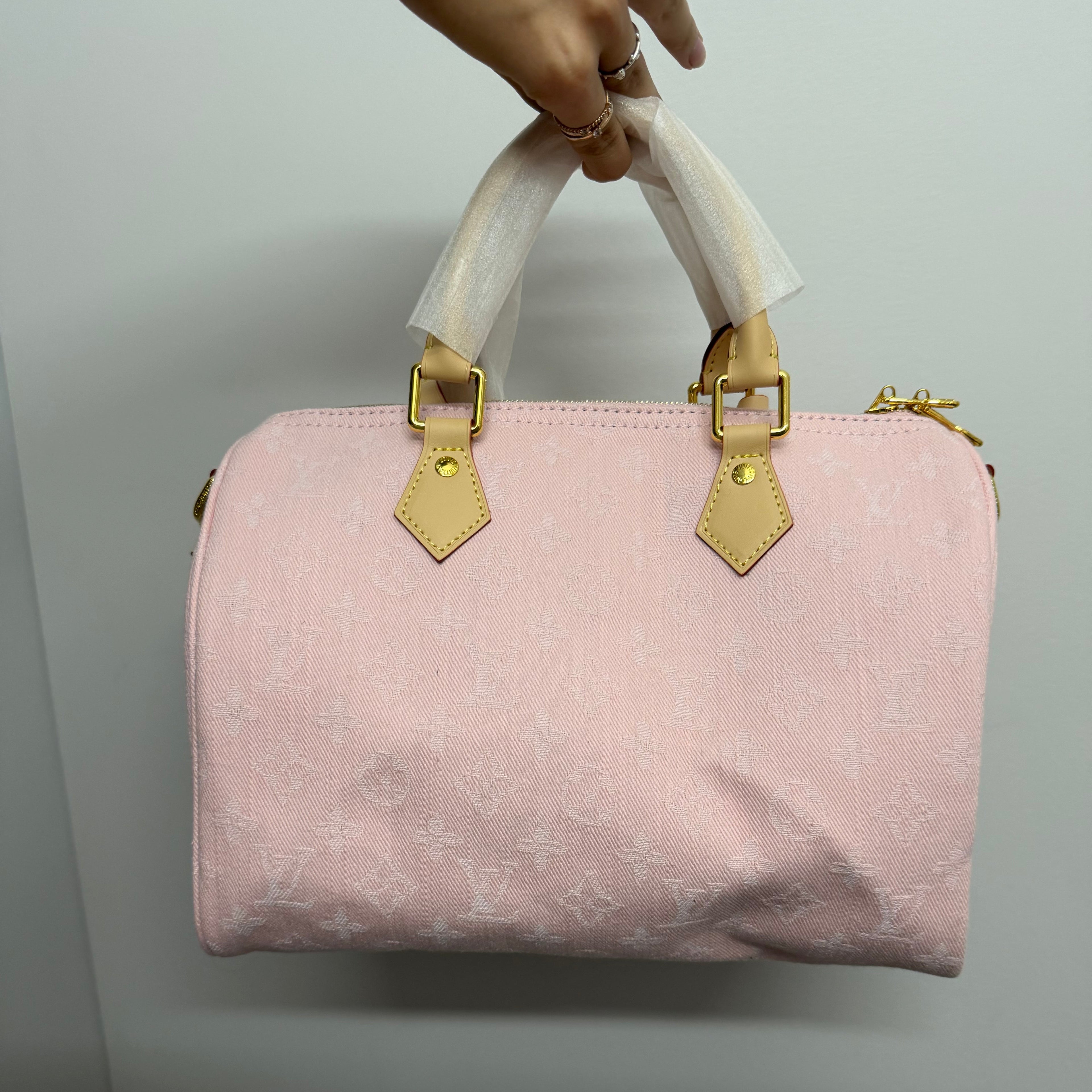 Sac Louis Vuitton speedy Pink